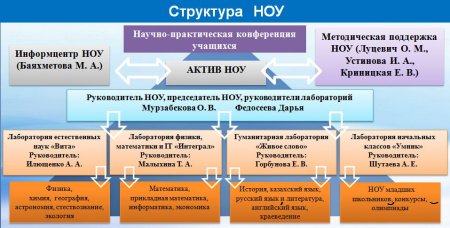 Структура НОУ